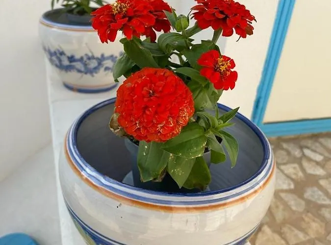 Gasthuis Antichi Mulini